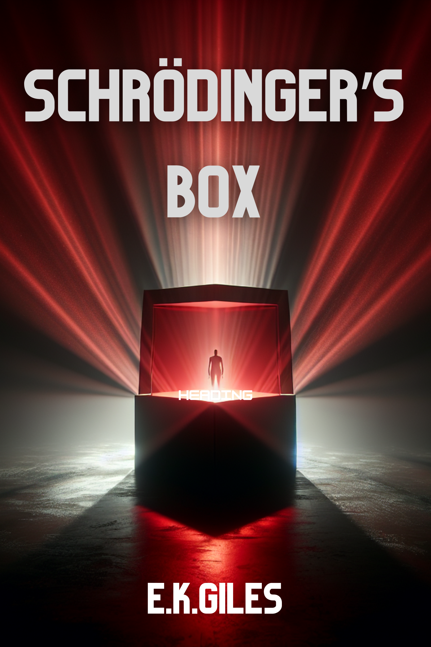 Cover Art for Schrodingers Box